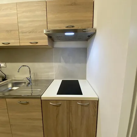 Appartement Basile House *